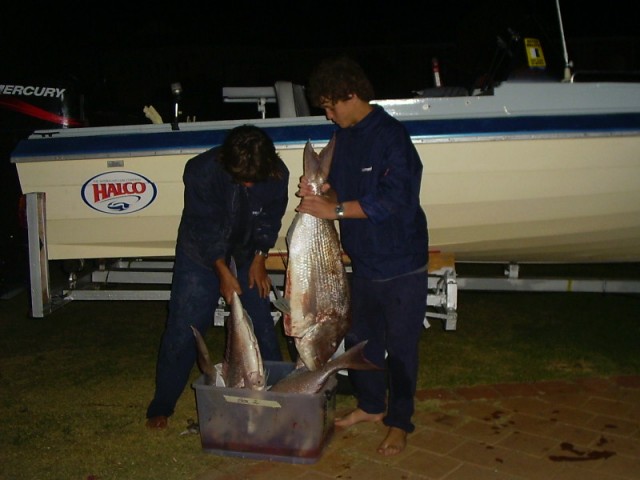 Cockburn Sound Snapper, 2004